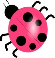 Pink Ladybug Clip Art N16