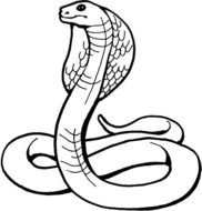 Snake Coloring Pages N5