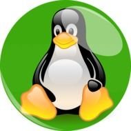 Penguin Cartoon Character N5