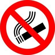 No Smoking Sign N52