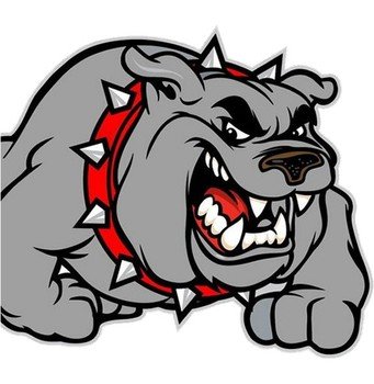 Mean Cartoon Bulldog N2