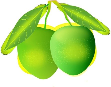 Mangos Green Fruit Delicious