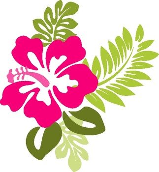 Pink Hibiscus Flower Clip Art N5