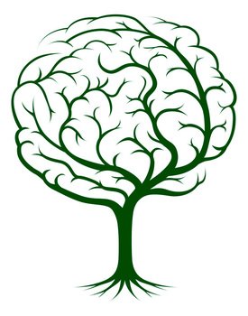 Brain Vector