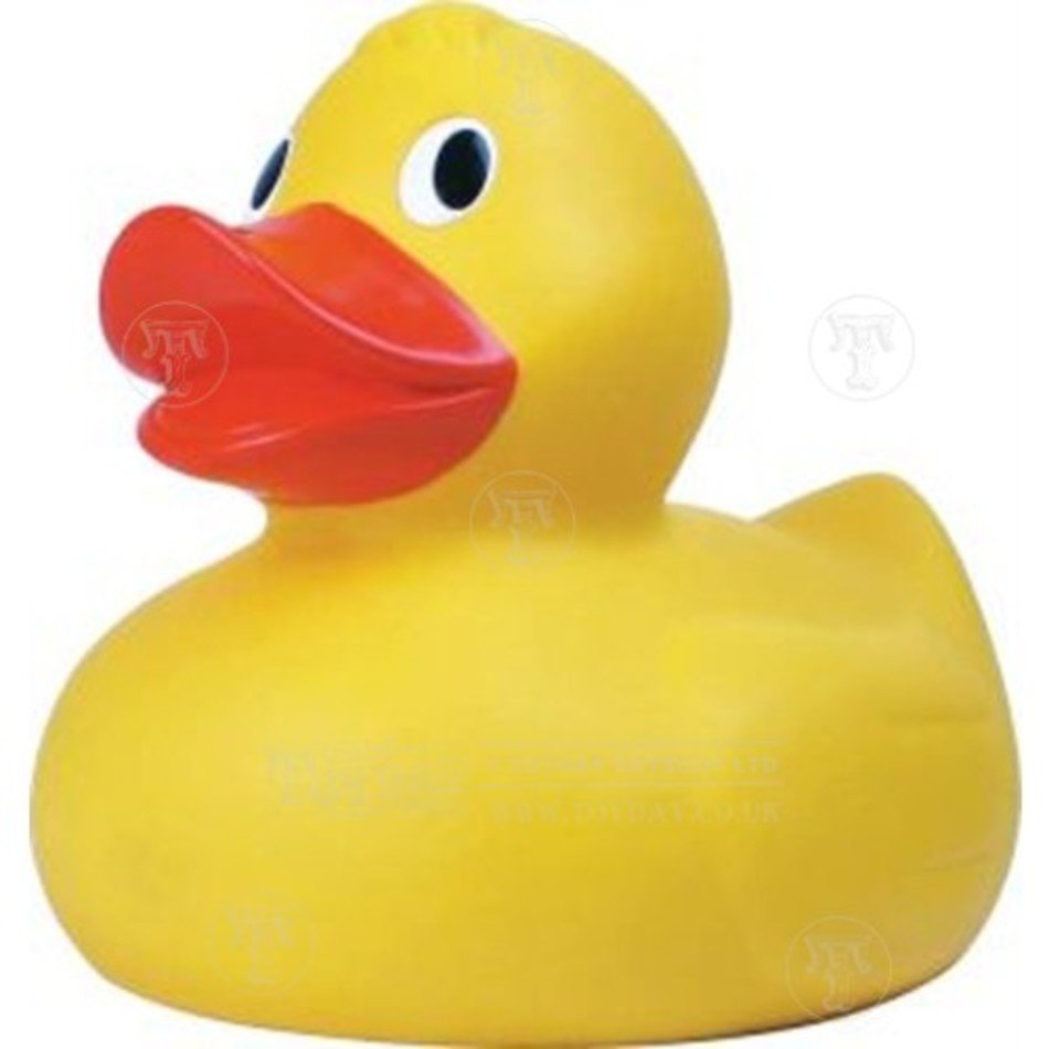 Rubber Duck N10