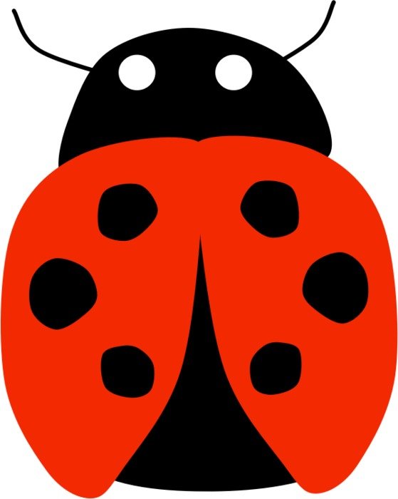 Ladybug Clip Art N55
