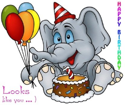 Funny Birthday Cards N2