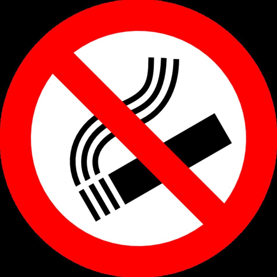 No Smoking Sign N52