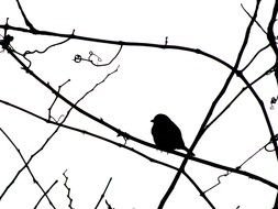 silhouette of a bird on a branch on a white background