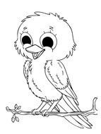 painted chick on a branch in a coloring book