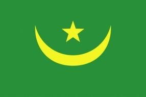 drawn rectangular flag of Mauritania