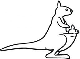 Kangaroo Coloring Pages Printable