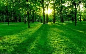 Nature N2