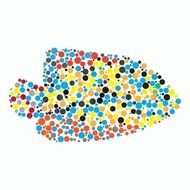 Trout Fish Silhouette On White N2