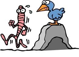 Early Bird Clip Art N6