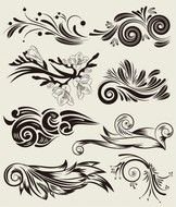Beautiful Floral Elements Vector