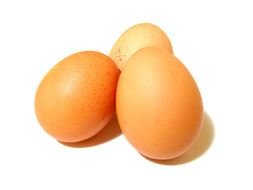 Eggs On Your Face Navidad