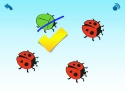 beetles drawing