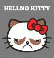 Hello Kitty Grumpy Cat N2
