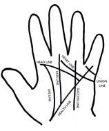 image of palm lines