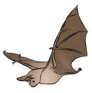 Bat Clip Art N24