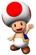 Super Mario Blue Toad
