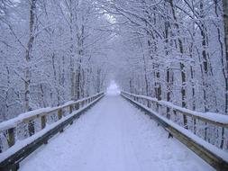 Winter Scenes street