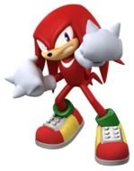 Echidna knuckles on white background