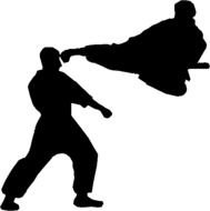 Shotokan Karate