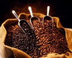 coffee beans in canvas bag