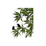painted two black birds on a green tree