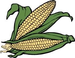 Clip art of Corns