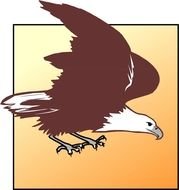 drawn landing eagle