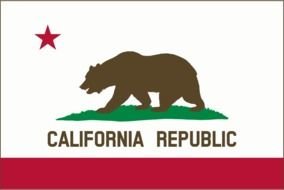 Flag of California state, bear flag, colorful drawing