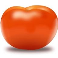 Enero 22 2012 Tomate