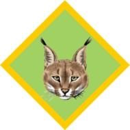 lynx head painted on a green rhombus