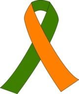 Kidney Clip Art N24