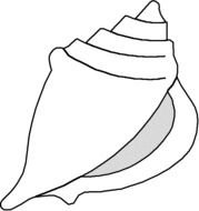 Sea Shell Clip Art N49