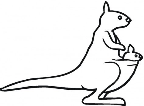 Kangaroo Coloring Pages Printable