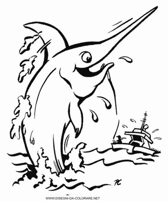 Para Colorear Durazno Deportes Dibujos