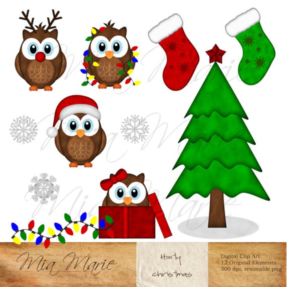 Winter Owl Clip Art N3