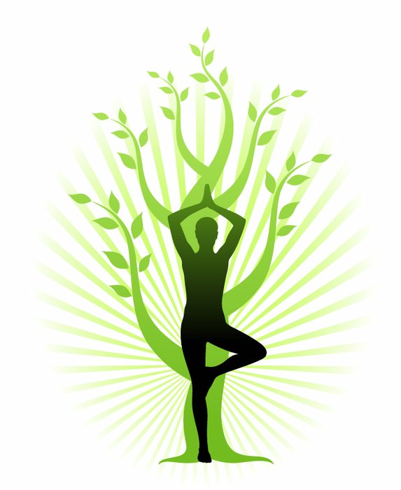 Yoga Tree N2