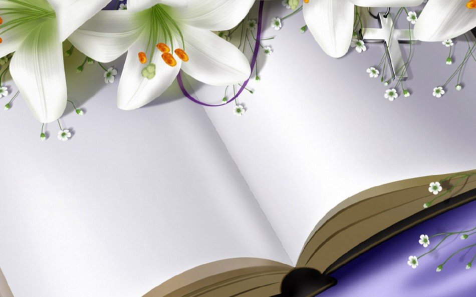 open book with white flowers as a picture for clipart