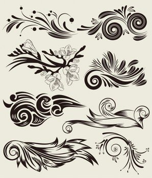 Beautiful Floral Elements Vector