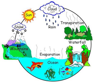 Water Cycle N17