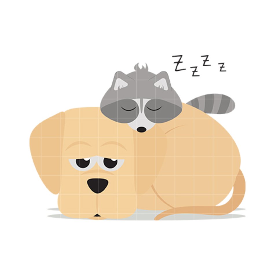 Raccoon Clip Art And Images N3