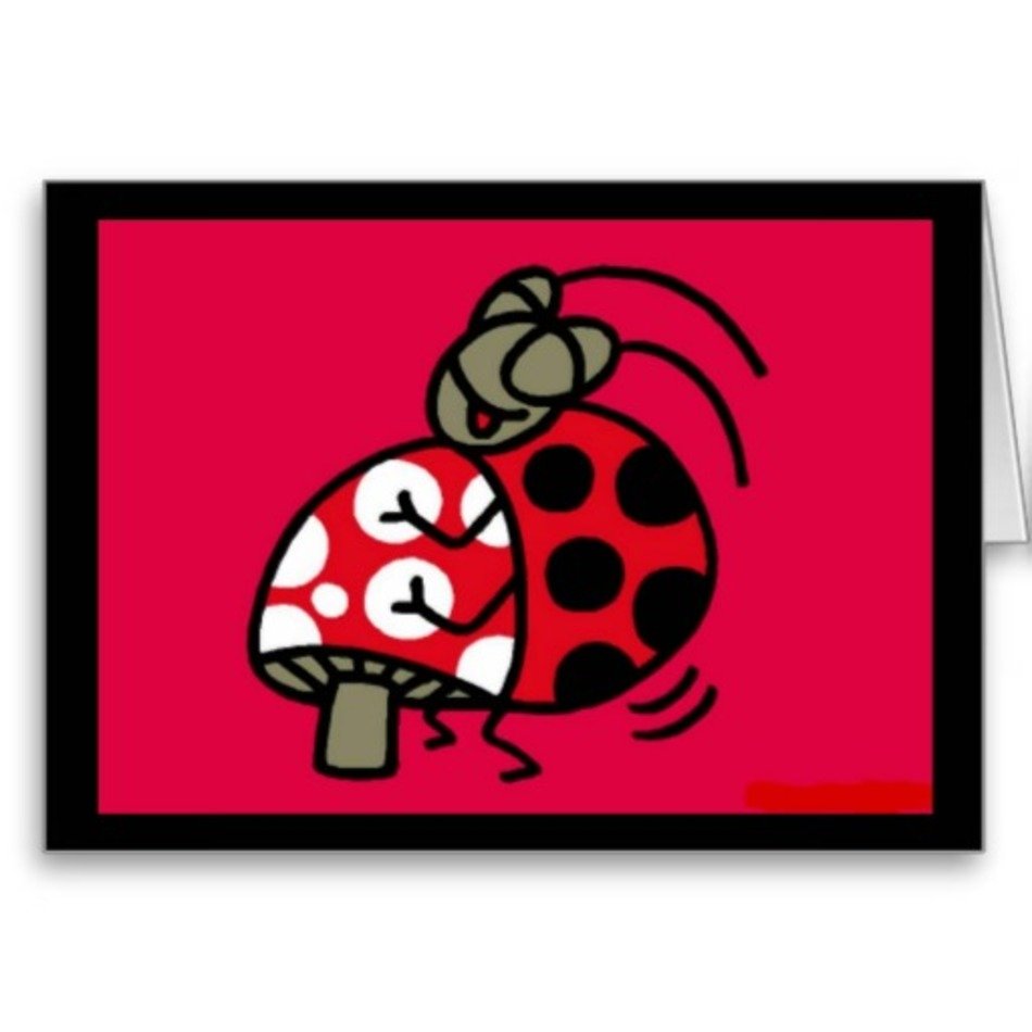 Hump Day Greeting Cards