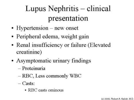 Lupus Nephritis Classification