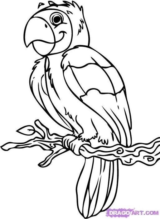 How To Draw Cartoon Birds