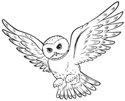 Harry Potter Coloring Pages